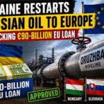 Nuclear Risk Rises as Russia Strikes  and Zaporizhia